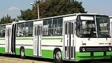 64 автобуса курсировали в нынешнем году по маршруту «10» и «D»  