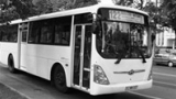 В Кишиневе появились трехлеевые автобусы