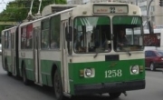 Сотрудники 