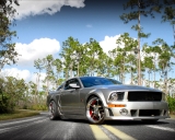 Ford Mustang silver